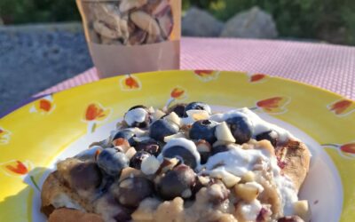 Tosta Saudável de Mirtilos, Iogurte e Castanha do Brasil