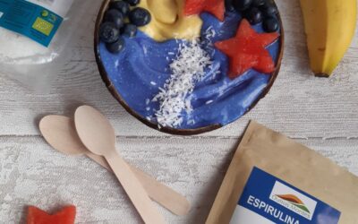 Bowl de Gelado de Manga e Espirulina Azul