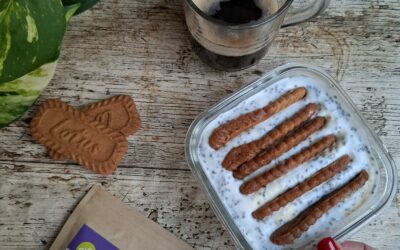 Cheesecake Viral Japonês