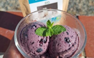 Gelado de Mirtilos